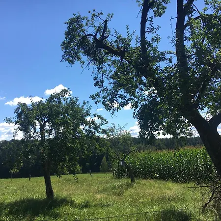 Lebenshof Varm - Vegane Farm Sulb