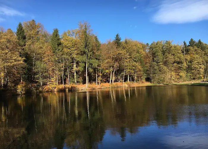 Lebenshof Varm - Vegane Farm