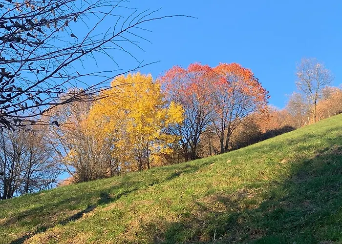 Lebenshof Varm - Vegane Farm Sulb