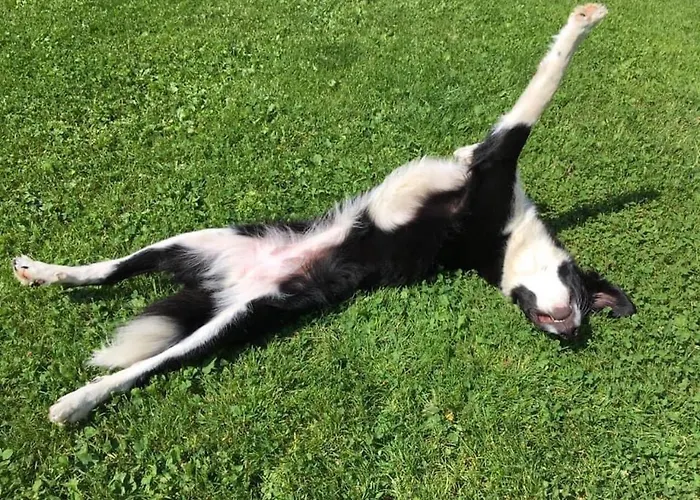 Lebenshof Varm - Vegane Farm Dom wakacyjny